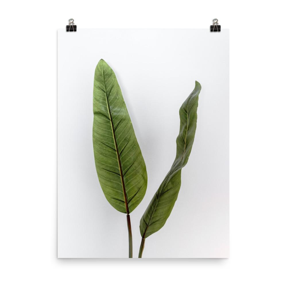 Poster - Tropical Leaves 30x41 cm artlia