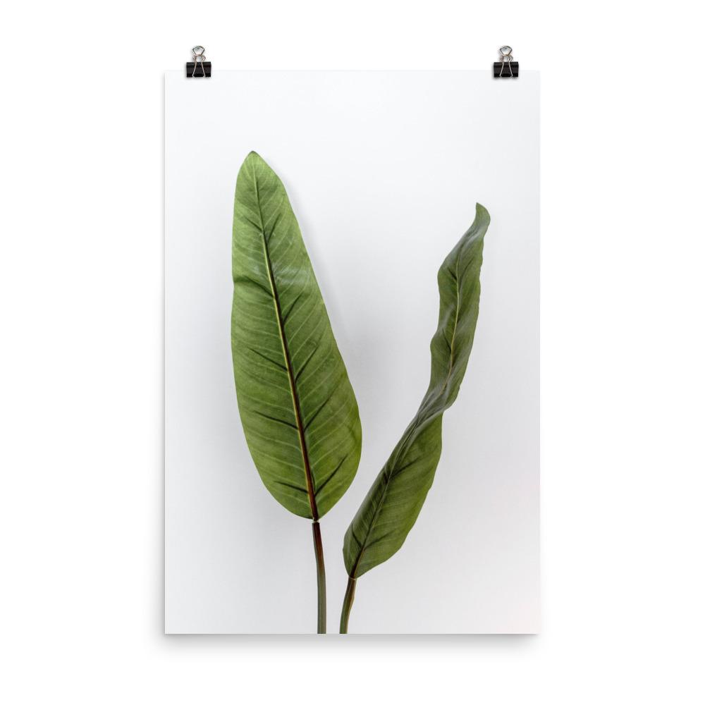 Poster - Tropical Leaves 30x45 cm artlia