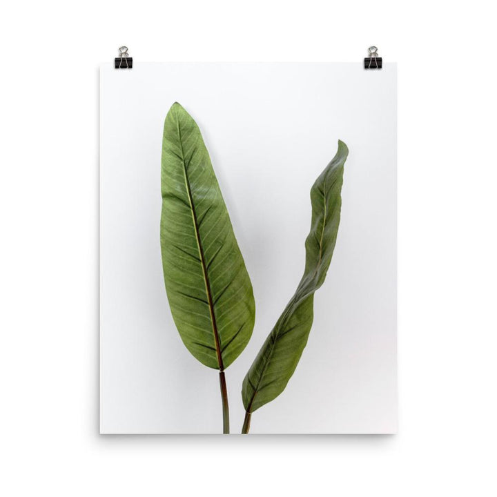 Poster - Tropical Leaves 41x51 cm artlia