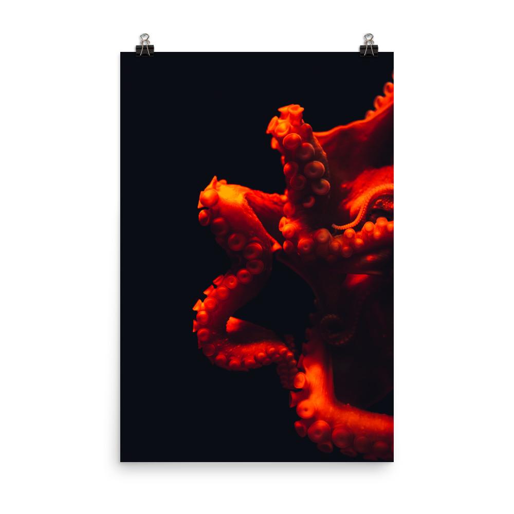 Poster - Wütender Oktopus 30x45 cm artlia
