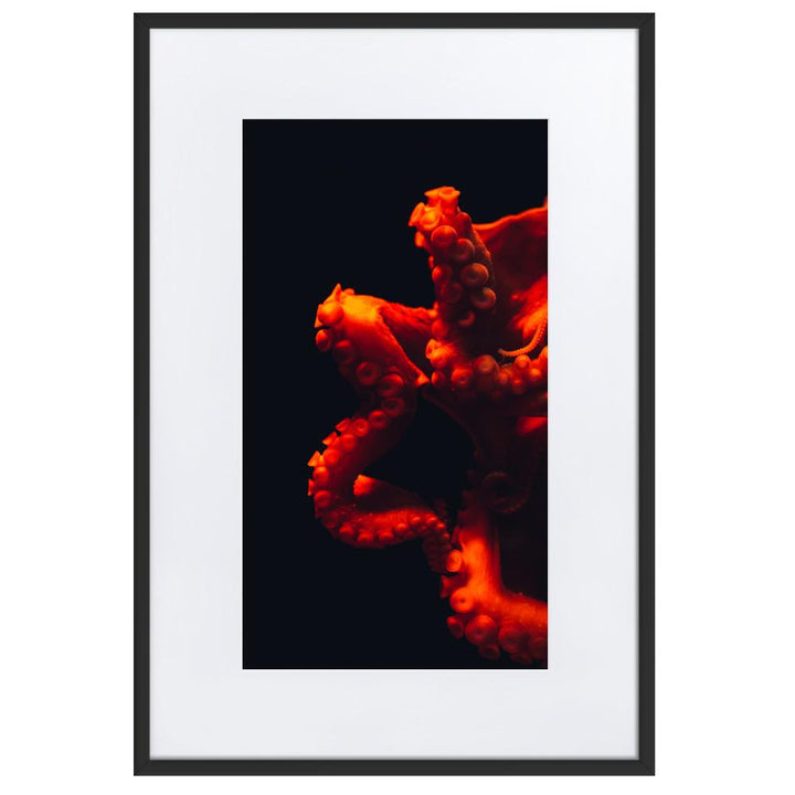 Wütender Oktopus - Poster im Rahmen mit Passepartout schwarz / 61×91 cm artlia