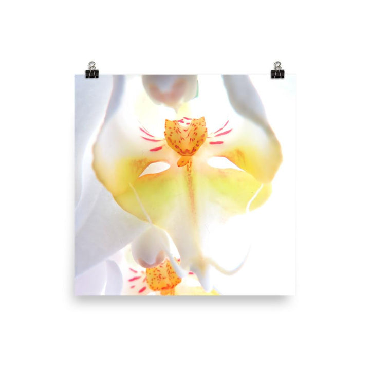 Poster - Yellow Orchid 25x25 cm artlia