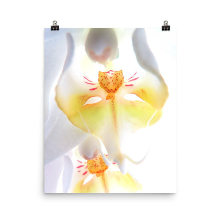 Poster - Yellow Orchid 20x25 cm artlia
