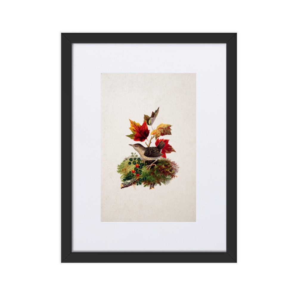 Zaunkönig - Poster im Rahmen mit Passepartout schwarz / 30×40 cm artlia