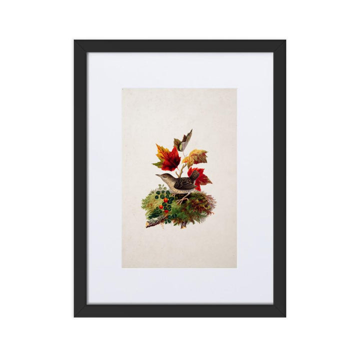 Zaunkönig - Poster im Rahmen mit Passepartout schwarz / 30×40 cm artlia