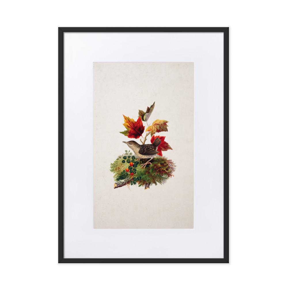 Zaunkönig - Poster im Rahmen mit Passepartout schwarz / 50×70 cm artlia