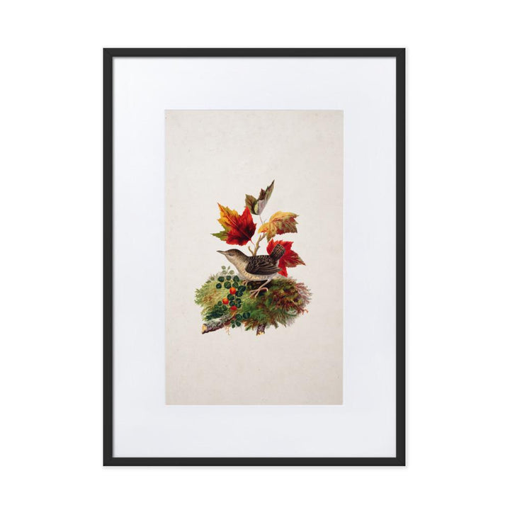 Zaunkönig - Poster im Rahmen mit Passepartout schwarz / 50×70 cm artlia