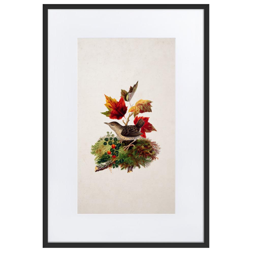 Zaunkönig - Poster im Rahmen mit Passepartout schwarz / 61×91 cm artlia