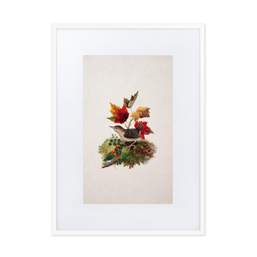 Zaunkönig - Poster im Rahmen mit Passepartout weiß / 50×70 cm artlia