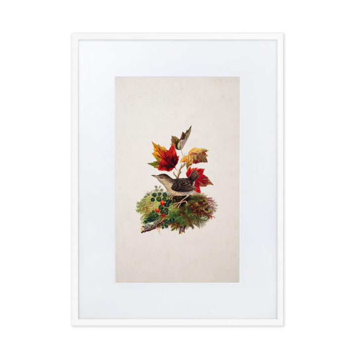 Zaunkönig - Poster im Rahmen mit Passepartout weiß / 50×70 cm artlia