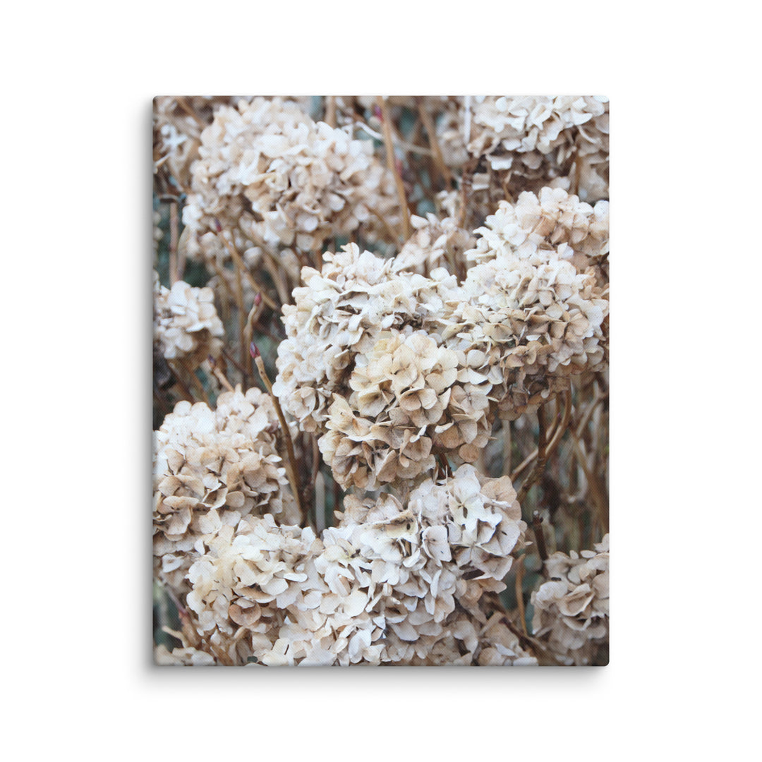 Lienzo - Flores Hortensias Atemporales