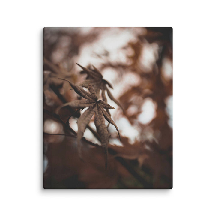 Lienzo - Hojas de otoño - un momento en la naturaleza