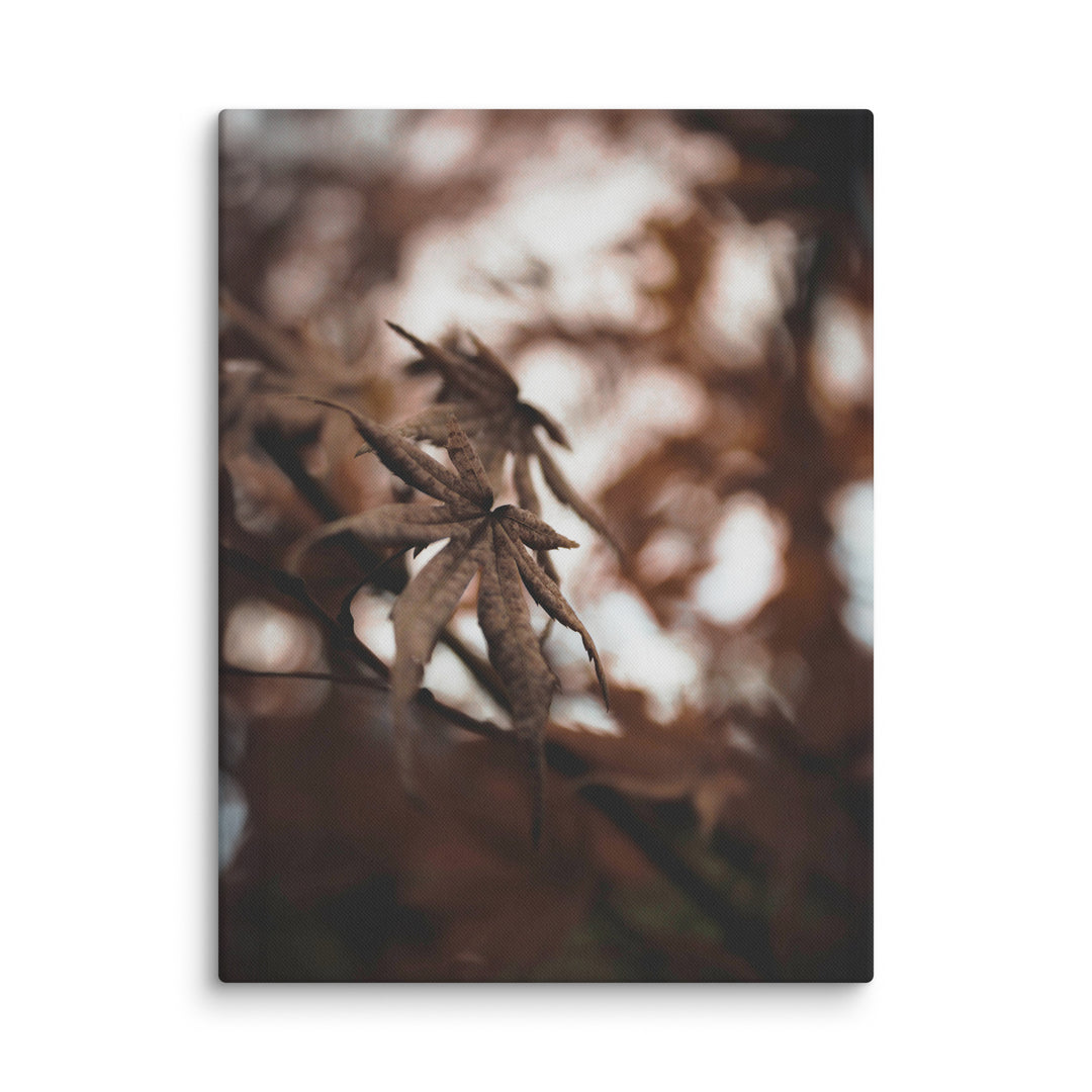 Lienzo - Hojas de otoño - un momento en la naturaleza