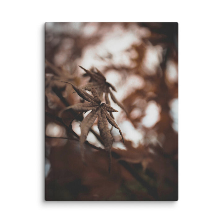 Lienzo - Hojas de otoño - un momento en la naturaleza