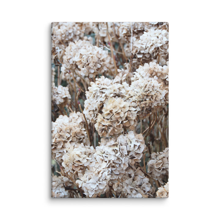 Lienzo - Flores Hortensias Atemporales