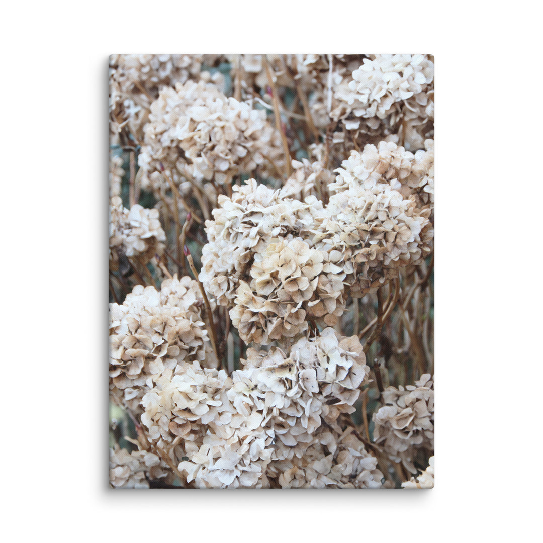 Lienzo - Flores Hortensias Atemporales