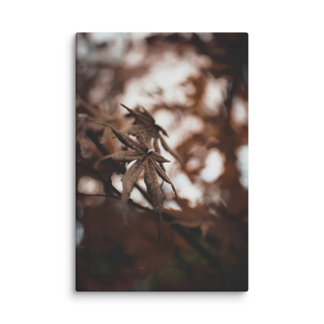 Lienzo - Hojas de otoño - un momento en la naturaleza