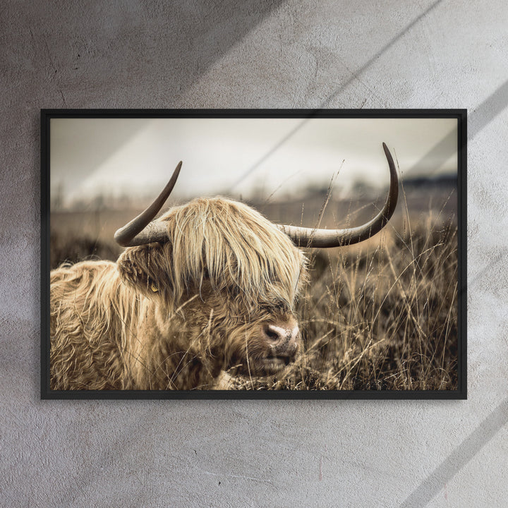 Leinwand - Highland Cattle Retro