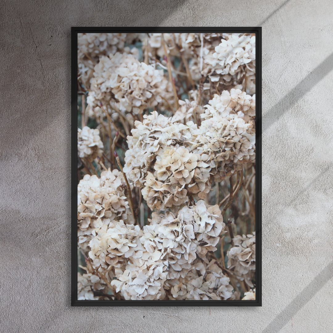 Lienzo - Flores Hortensias Atemporales