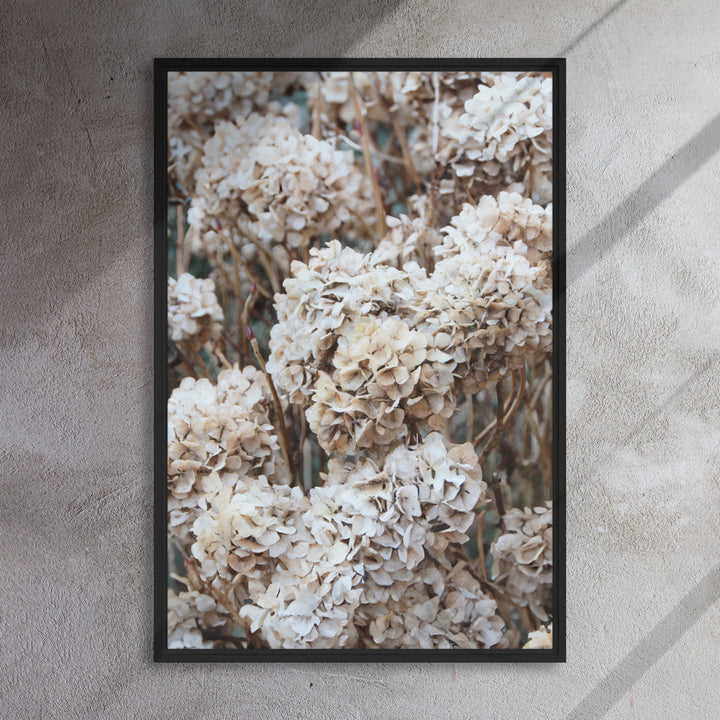 Lienzo - Flores Hortensias Atemporales