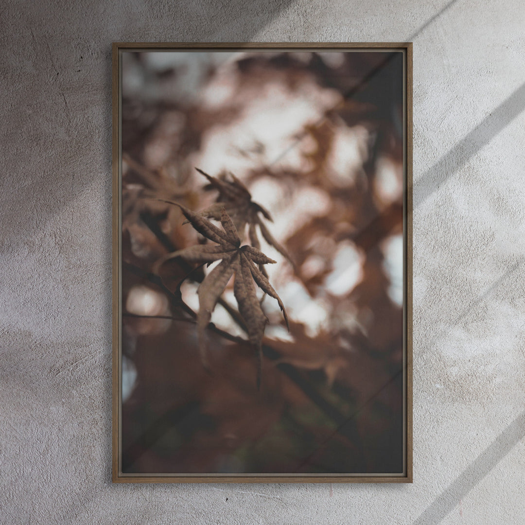Lienzo - Hojas de otoño - un momento en la naturaleza