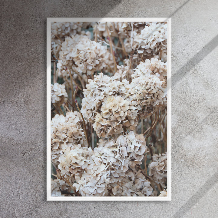 Lienzo - Flores Hortensias Atemporales