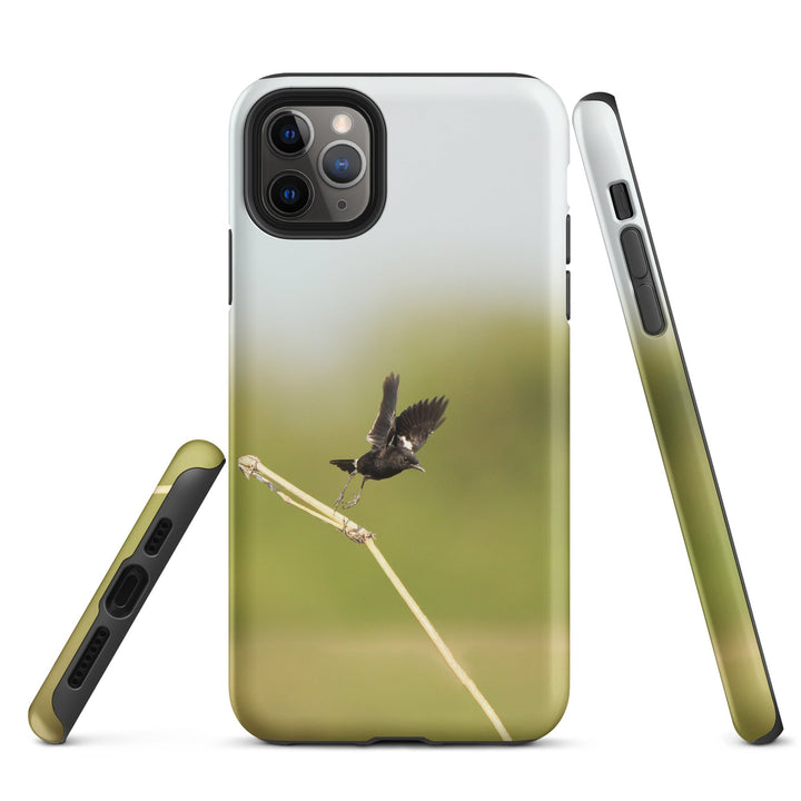 Hardcase iPhone® Handyhülle - Elsterschmätzer Pied Bushchat Young Han Song iPhone 11 Pro Max artlia