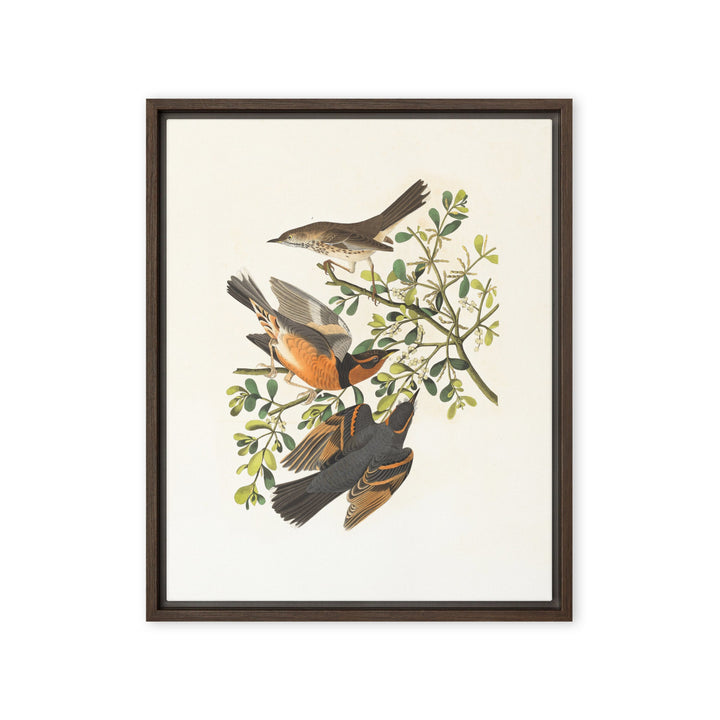 Leinwand - Drei Vögel auf Ästen Boston Public Library Braun / 41x51 cm (16″×20″) artlia