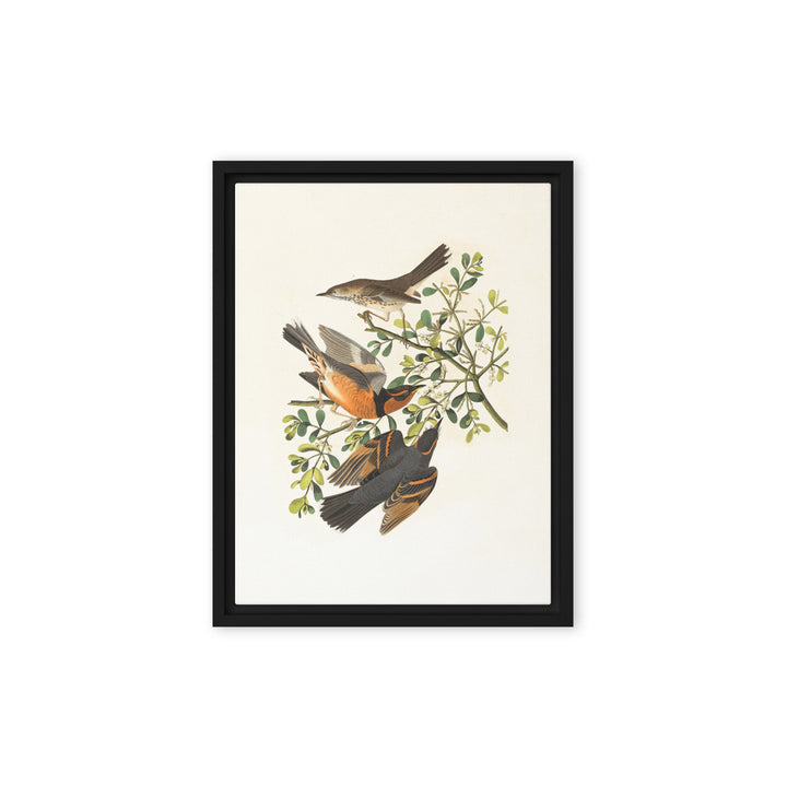Leinwand - Drei Vögel auf Ästen Boston Public Library Schwarz / 31x41 cm (12″×16″) artlia