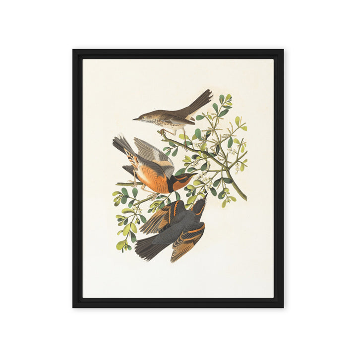 Leinwand - Drei Vögel auf Ästen Boston Public Library Schwarz / 41x51 cm (16″×20″) artlia