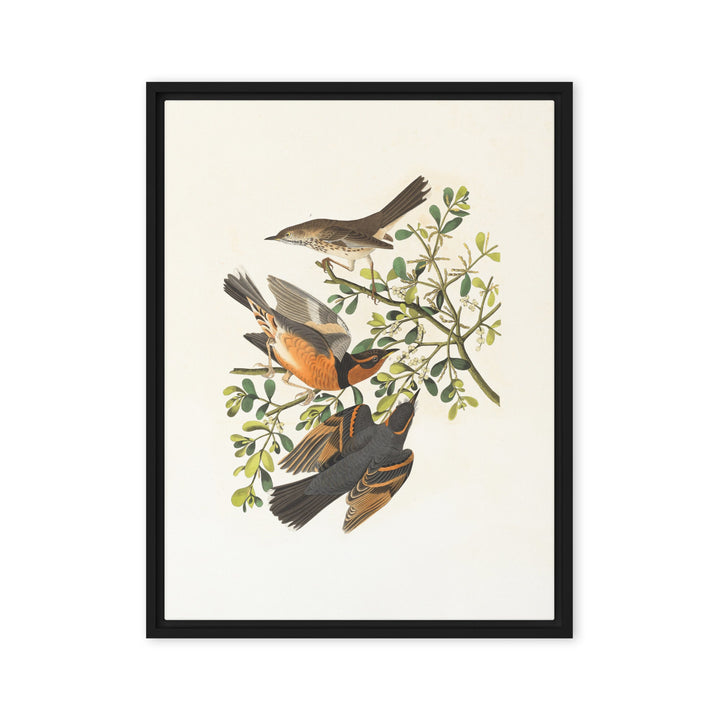 Leinwand - Drei Vögel auf Ästen Boston Public Library Schwarz / 61x81 cm (24″×32″) artlia