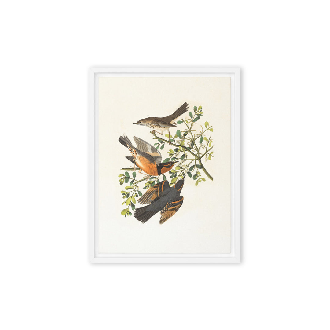 Leinwand - Drei Vögel auf Ästen Boston Public Library Weiß / 31x41 cm (12″×16″) artlia