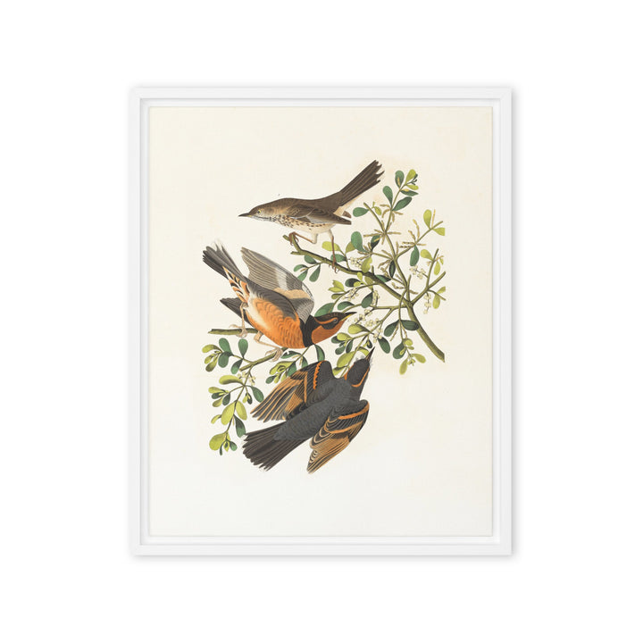 Leinwand - Drei Vögel auf Ästen Boston Public Library Weiß / 41x51 cm (16″×20″) artlia