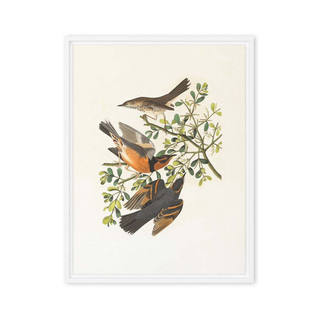 Leinwand - Drei Vögel auf Ästen Boston Public Library Weiß / 61x81 cm (24″×32″) artlia
