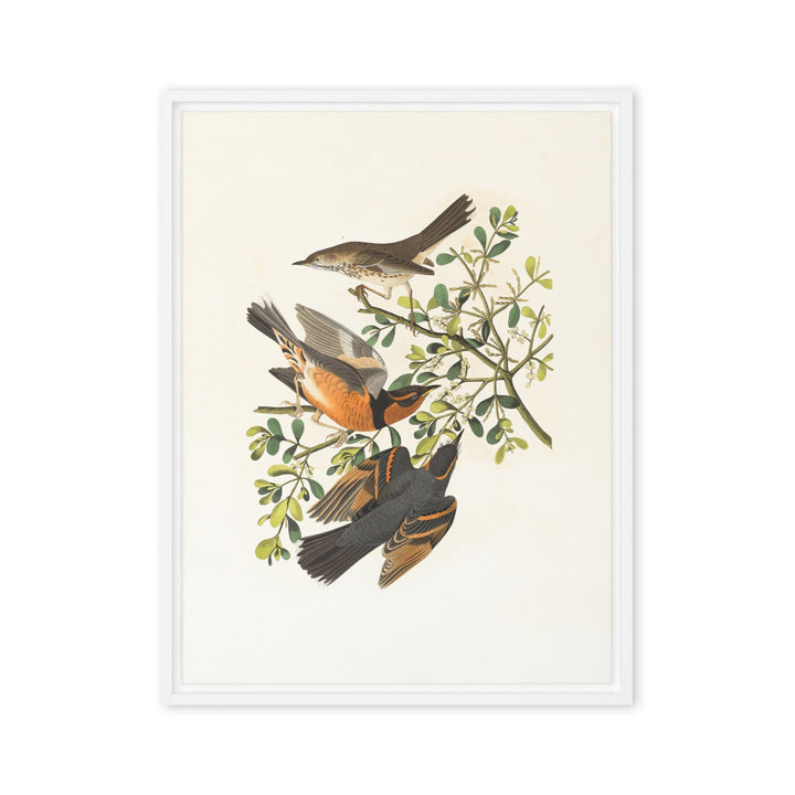 Leinwand - Drei Vögel auf Ästen Boston Public Library Weiß / 61x81 cm (24″×32″) artlia