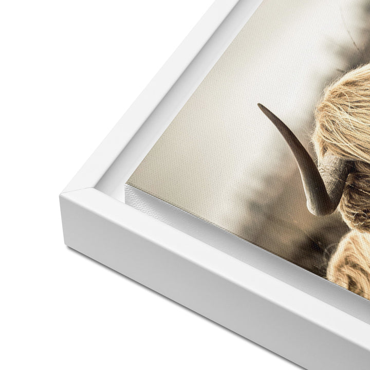 Leinwand - Highland Cattle Retro Kuratoren von artlia artlia