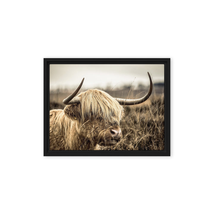 Leinwand - Highland Cattle Retro Kuratoren von artlia Schwarz / 31x41 cm (12″×16″) artlia