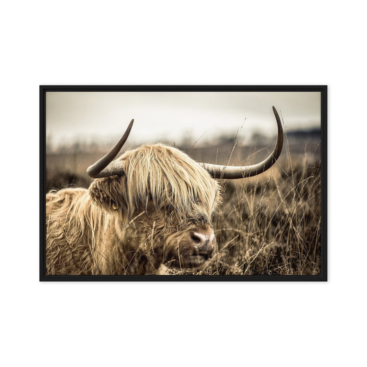 Leinwand - Highland Cattle Retro Kuratoren von artlia Schwarz / 51x76 cm (20″×30″) artlia