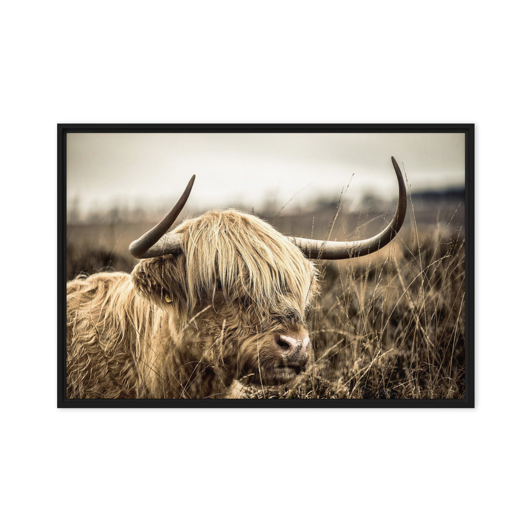 Leinwand - Highland Cattle Retro Kuratoren von artlia Schwarz / 61x91 cm (24″×36″) artlia