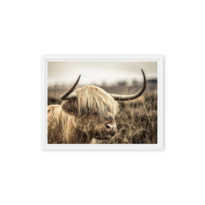 Leinwand - Highland Cattle Retro Kuratoren von artlia Weiß / 31x41 cm (12″×16″) artlia