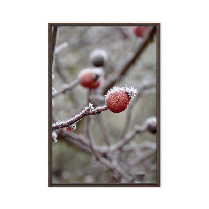 Leinwand - Winterbeeren II Kuratoren von artlia Braun / 61x91 cm (24″×36″) artlia