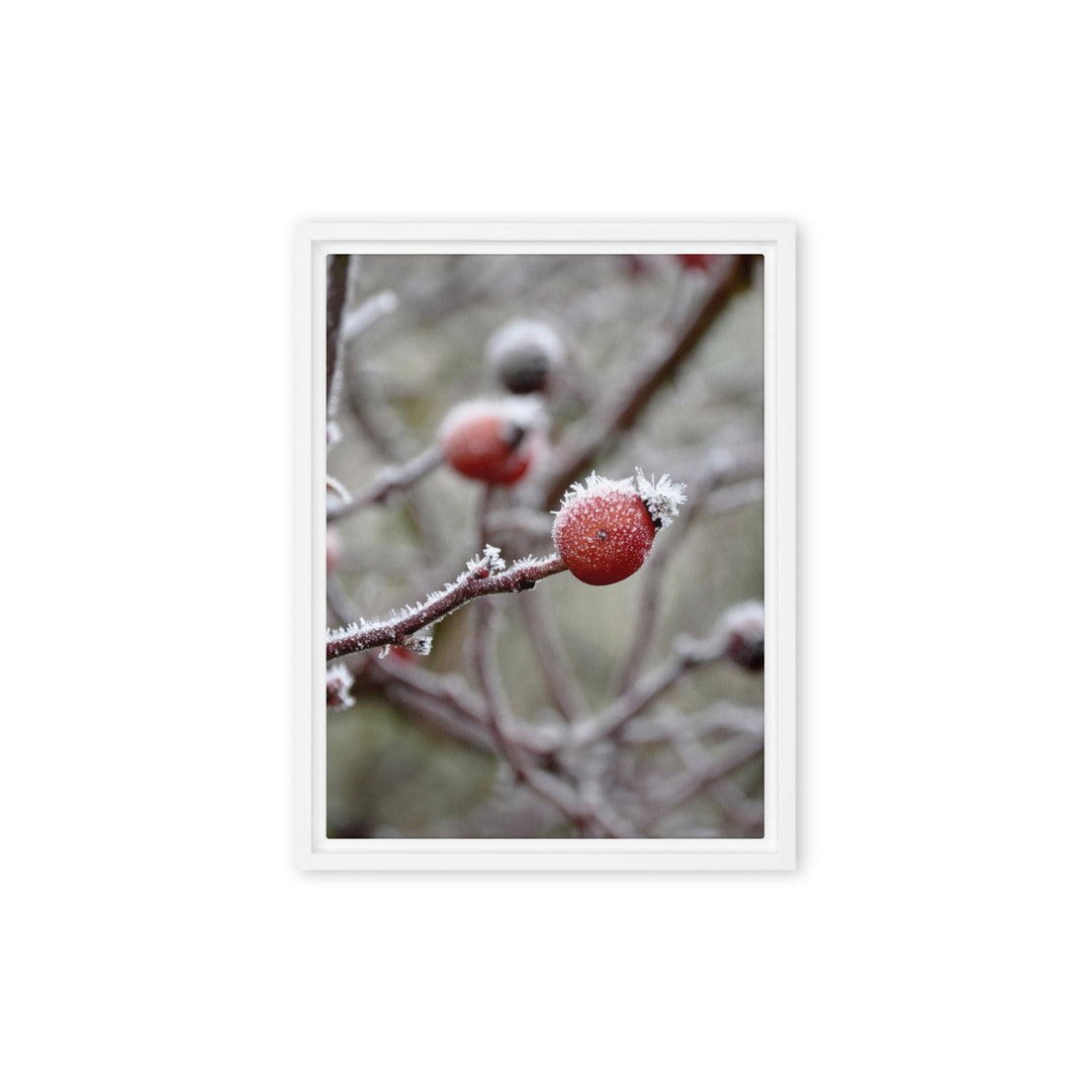 Leinwand - Winterbeeren II Kuratoren von artlia Weiß / 31x41 cm (12″×16″) artlia