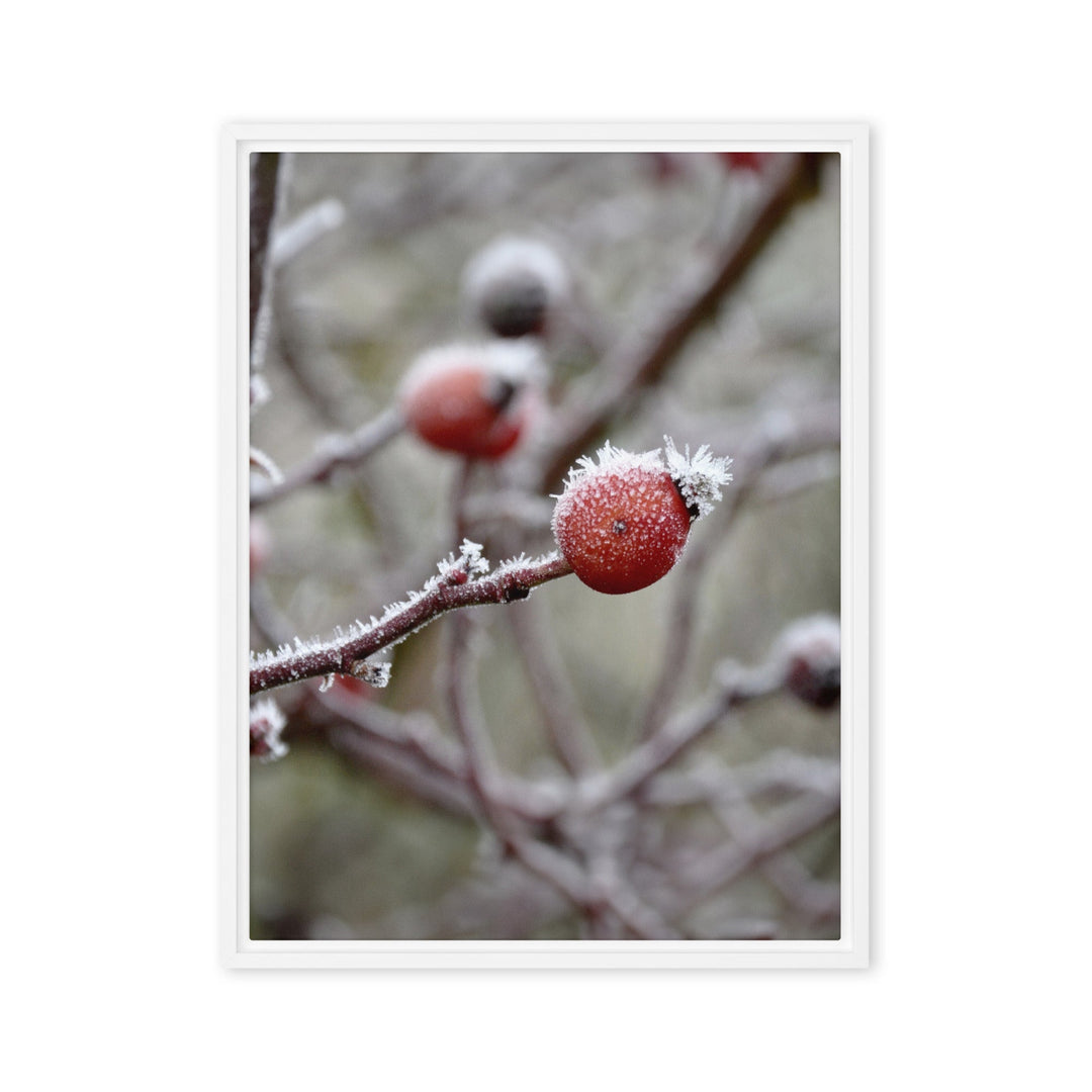 Leinwand - Winterbeeren II Kuratoren von artlia Weiß / 46x61 cm (18″×24″) artlia