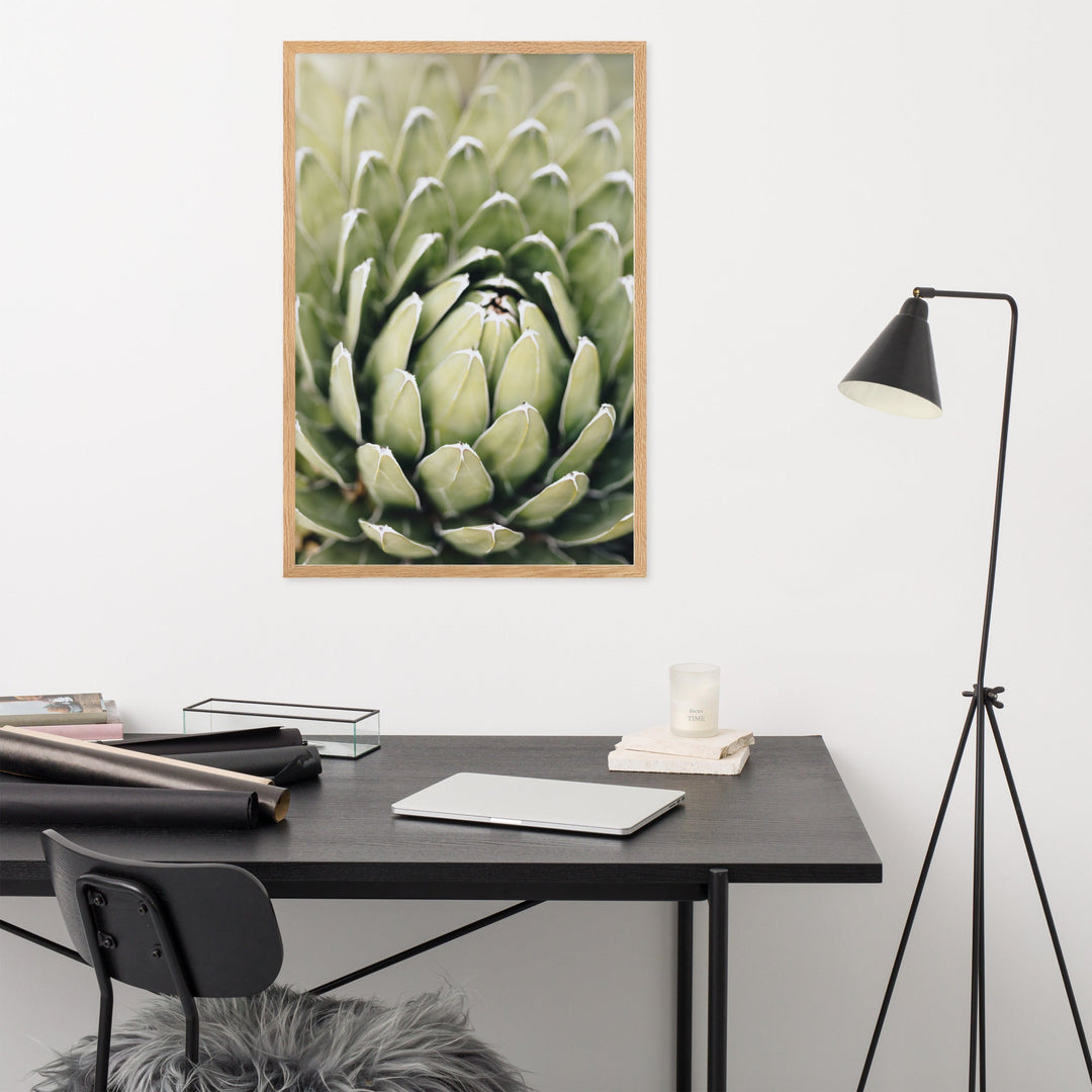 Poster - Cactus Flower II Kuratoren von artlia artlia