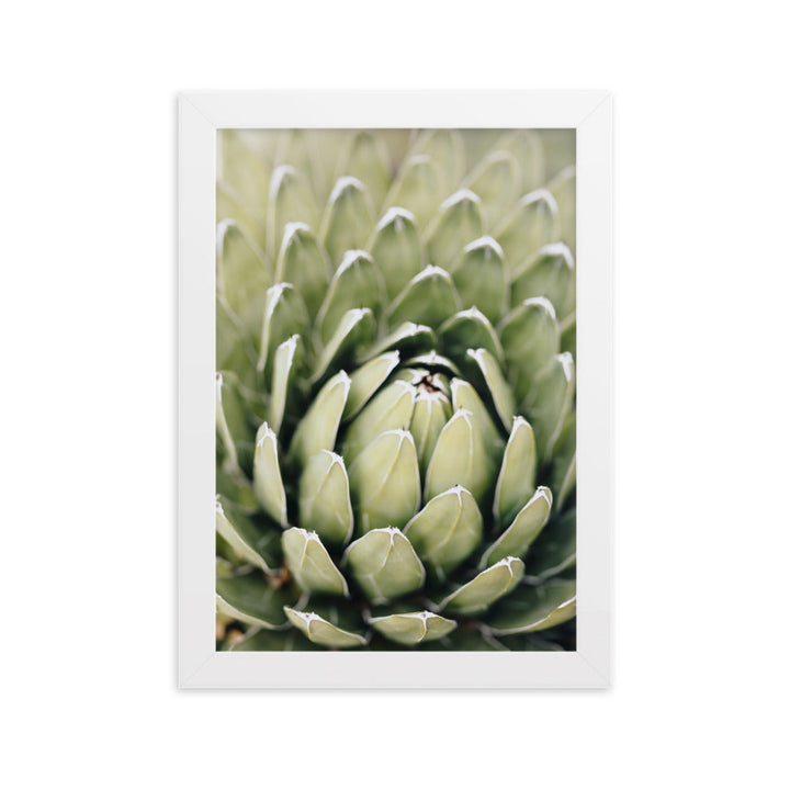 Poster - Cactus Flower II Kuratoren von artlia Weiß / 21×30 cm artlia