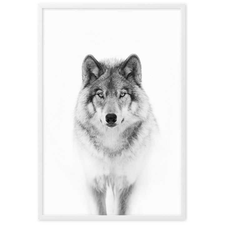 Poster - Calm Wolf Kuratoren von artlia artlia