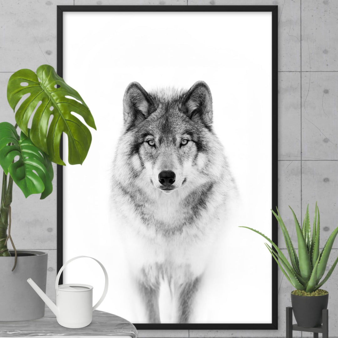 Poster - Calm Wolf Kuratoren von artlia artlia