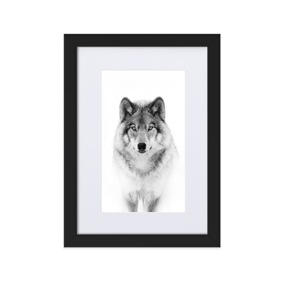 Poster mit Passepartout - Calm Wolf Kuratoren von artlia Schwarz / 21×30 cm artlia