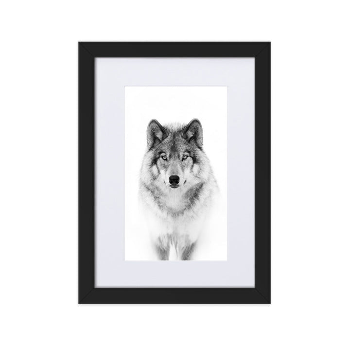 Poster mit Passepartout - Calm Wolf Kuratoren von artlia Schwarz / 21×30 cm artlia