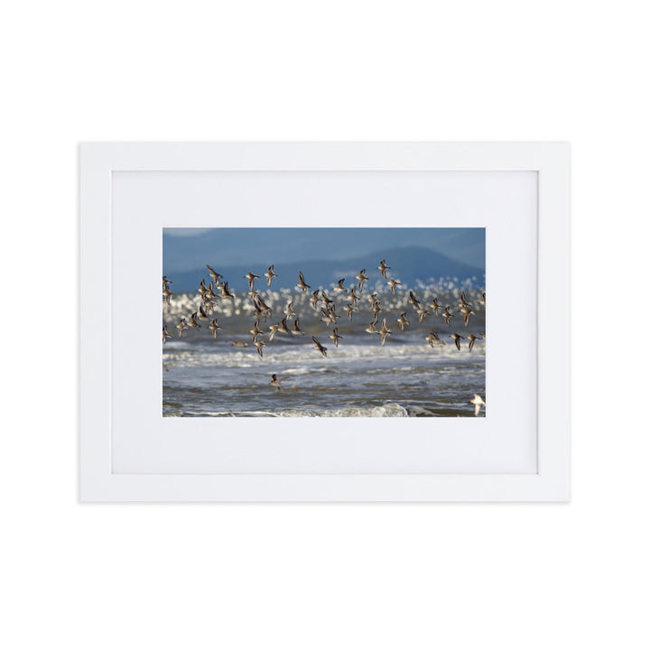 Poster mit Passepartout - Shorebirds Young Han Song Weiß / 21×30 cm artlia